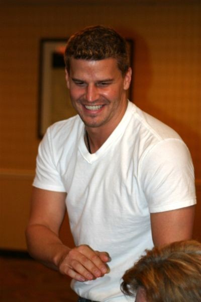 David Boreanaz Fotoğrafları 4