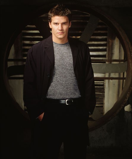 David Boreanaz Fotoğrafları 5