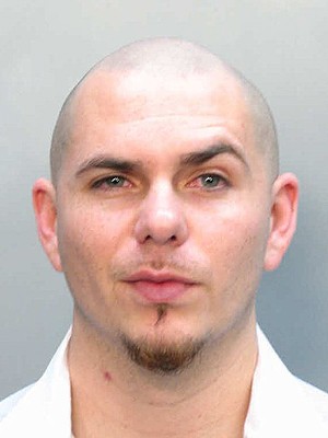 Pitbull Fotoğrafı