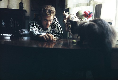 James Dean Fotoğrafları 11