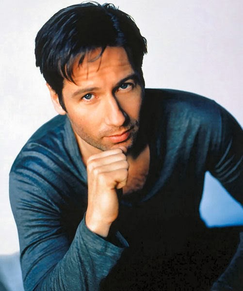 David Duchovny Fotoğrafları 6