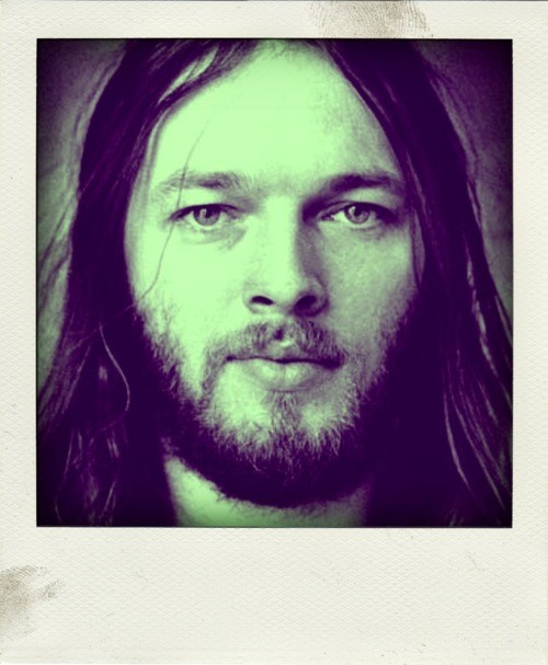 David Gilmour Fotoğrafları 5