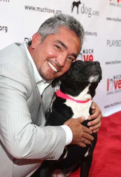 Cesar Millan Fotoğrafları 18