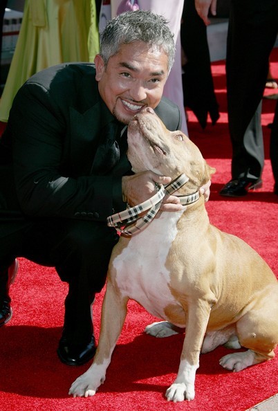 Cesar Millan Fotoğrafları 41