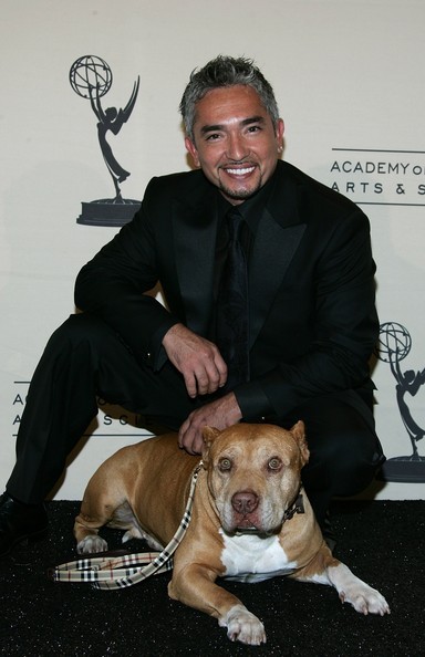 Cesar Millan Fotoğrafları 10