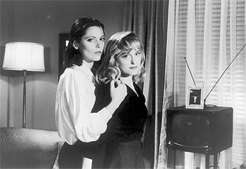 Lynne Fernie fotoğrafı