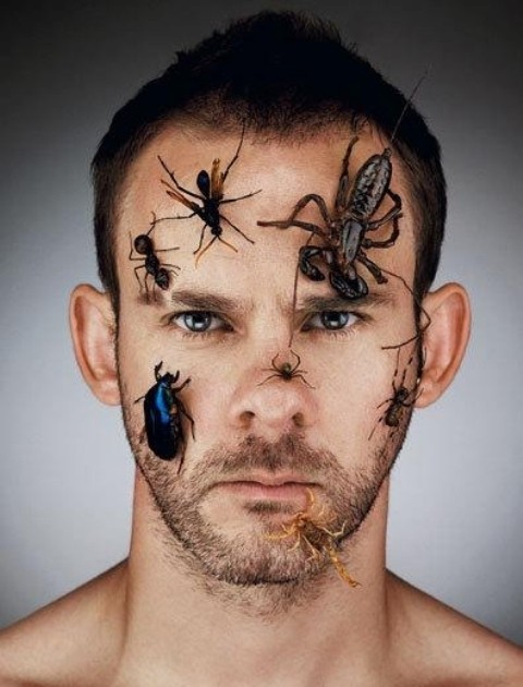 Dominic Monaghan Fotoğrafları 98