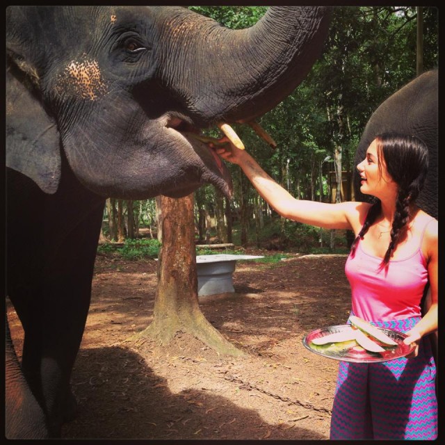 Amy Jackson Fotoğrafı