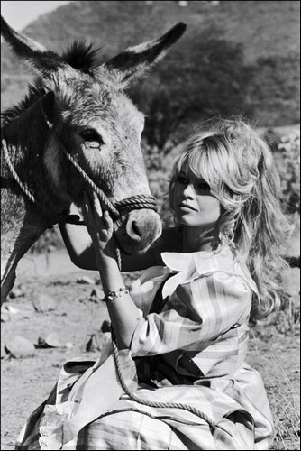 Brigitte Bardot Fotoğrafları 65