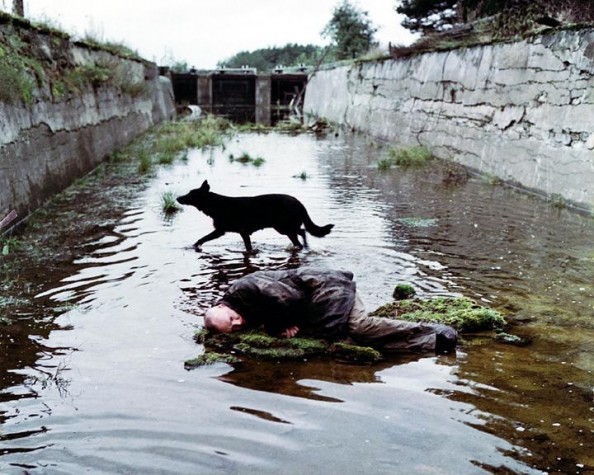 Aleksandr Kajdanovsky Fotoğrafları 3