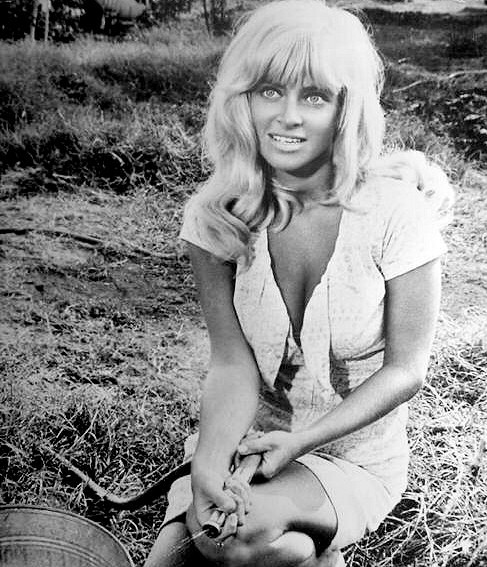Joy Harmon Fotoğrafı