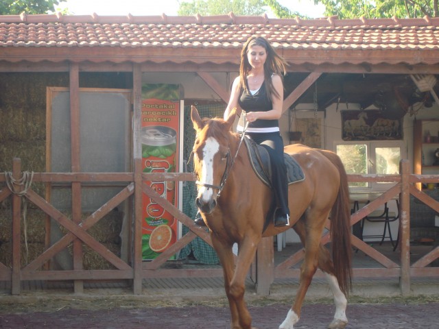 Aysin Sarılı Fotoğrafı