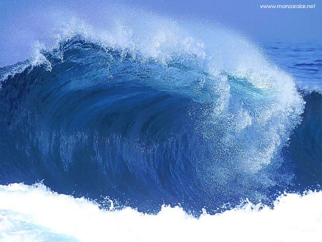 Asif Iqbal Fotoğrafı