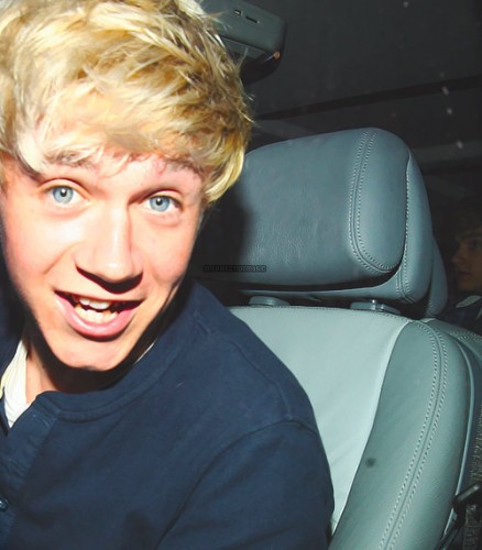 Niall Horan Fotoğrafları 13