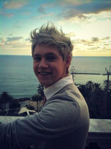 Niall Horan Fotoğrafı