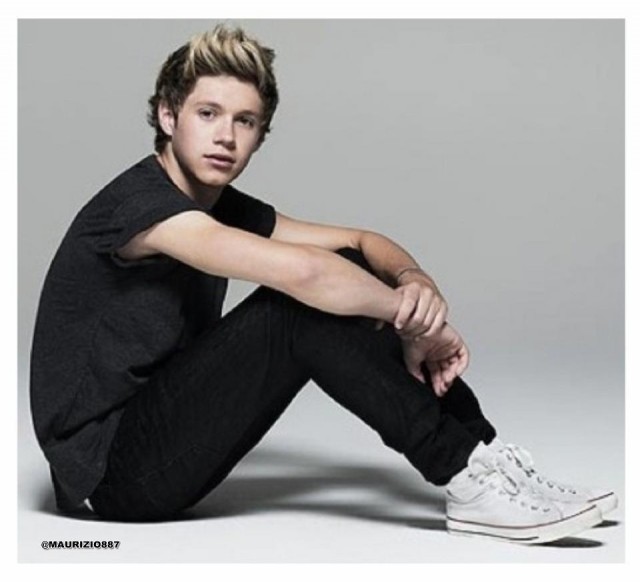 Niall Horan Fotoğrafları 31