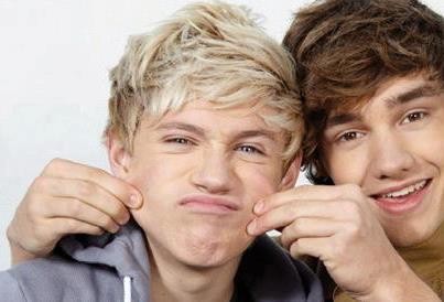 Niall Horan Fotoğrafı