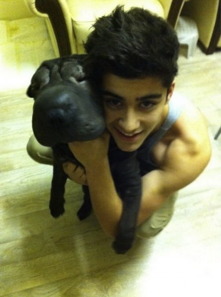 Zayn Malik Fotoğrafı