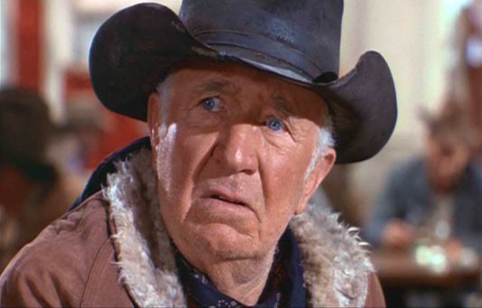 Walter Brennan Fotoğrafları 10