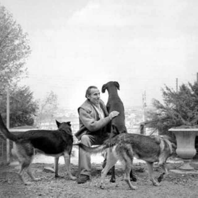 Louis Ferdinand Céline Fotoğrafı