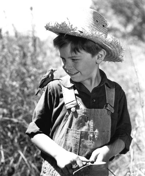 Bobby Driscoll Fotoğrafları 5