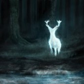 expecto_patronum