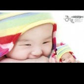 elif311