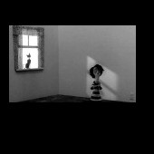 -sad-shadow