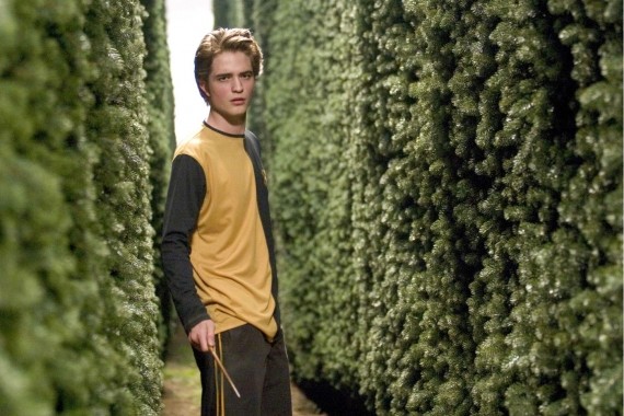 Cedric Diggory fotoğrafı