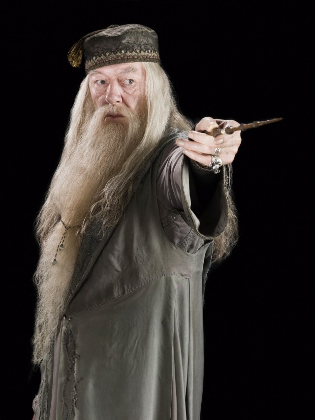 Albus Percival Wulfric Brian Dumbledore fotoğrafı
