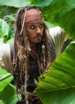 Karayip Korsanları Yaban Medcezir’in Tanıtım Videosu Yayınlandı!
