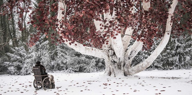 Game of Thrones Korsanları