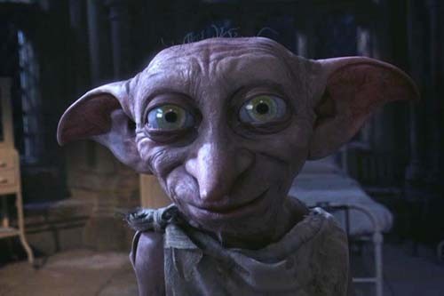 Dobby Fotoğrafları 4