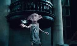 Dobby Fotoğrafları 5