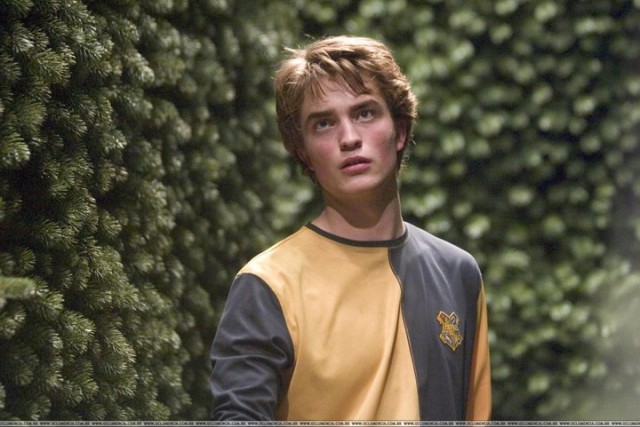 Cedric Diggory Fotoğrafları 6