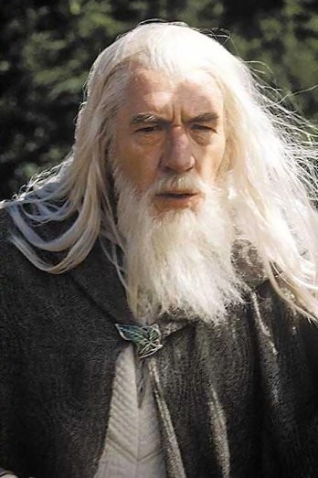 Gandalf The Grey Fotoğrafları 12