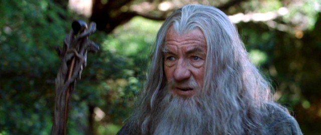 Gandalf The Grey Fotoğrafları 26