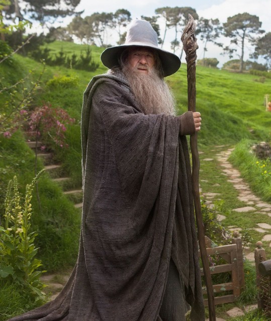 Gandalf The Grey Fotoğrafları 36