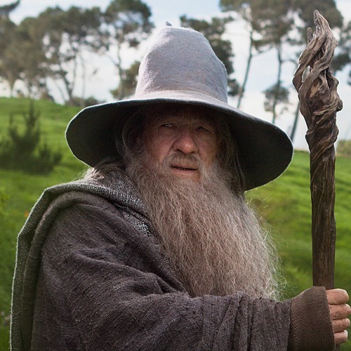 Gandalf The Grey Fotoğrafları 38