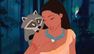 Meeko fotoğrafı