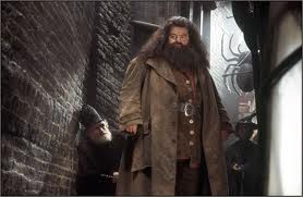 Rubeus Hagrid Fotoğrafları 8