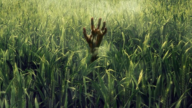 In the Tall GrassIn the Tall Grass (2019) In the Tall GrassIn the Tall Grass (2019)