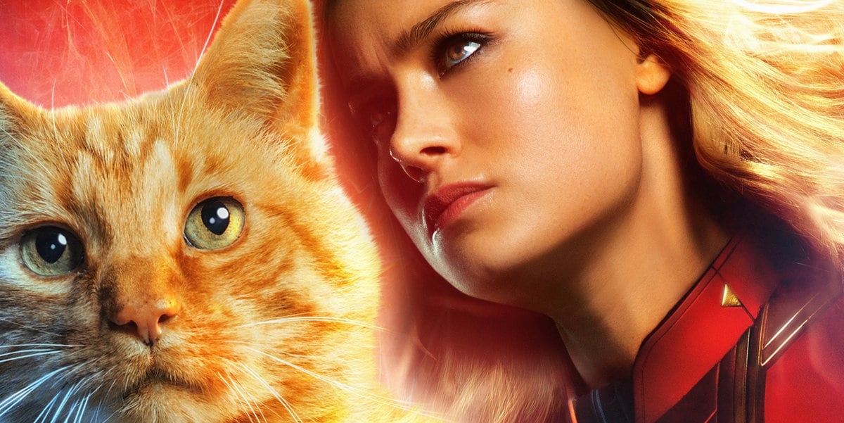 Brie Larson'ın Rol Arkadaşına Alerjisi Vardı! Brie Larson'ın Rol Arkadaşına Alerjisi Vardı!