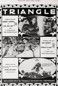 The Bad Boy (1917) afişi