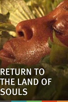 Return To The Land Of Souls (2009) afişi