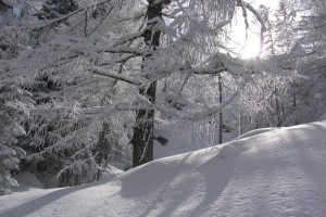 Kış Rüyası Fotoğrafı