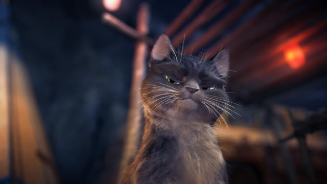 Sammy'nin Maceraları Fotoğrafı