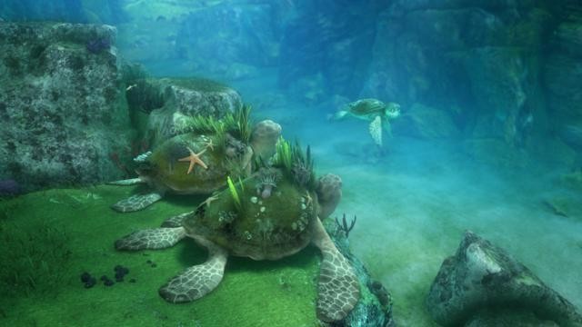 Sammy'nin Maceraları Fotoğrafı