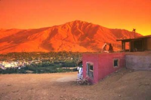 Vizontele Fotoğrafı