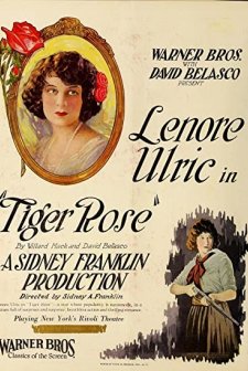 Tiger Rose (1923) afişi